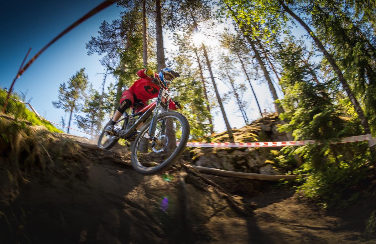 A person on a mountain bike riding on a trail surrounded by lush green trees and a clear blue sky.
